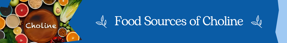 Food Sources of Choline