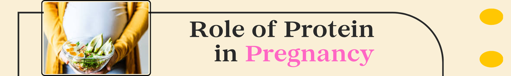 Role of Protein in Pregnancy