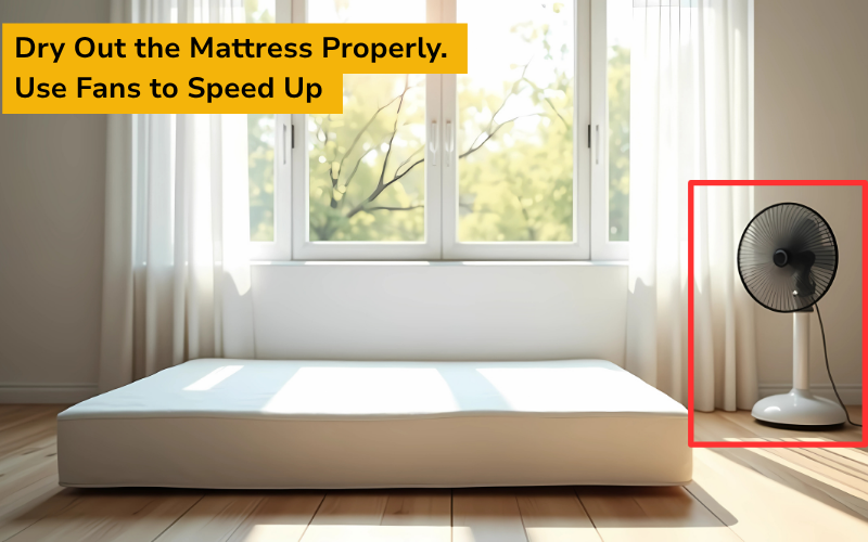 dry the mattress thoroughly